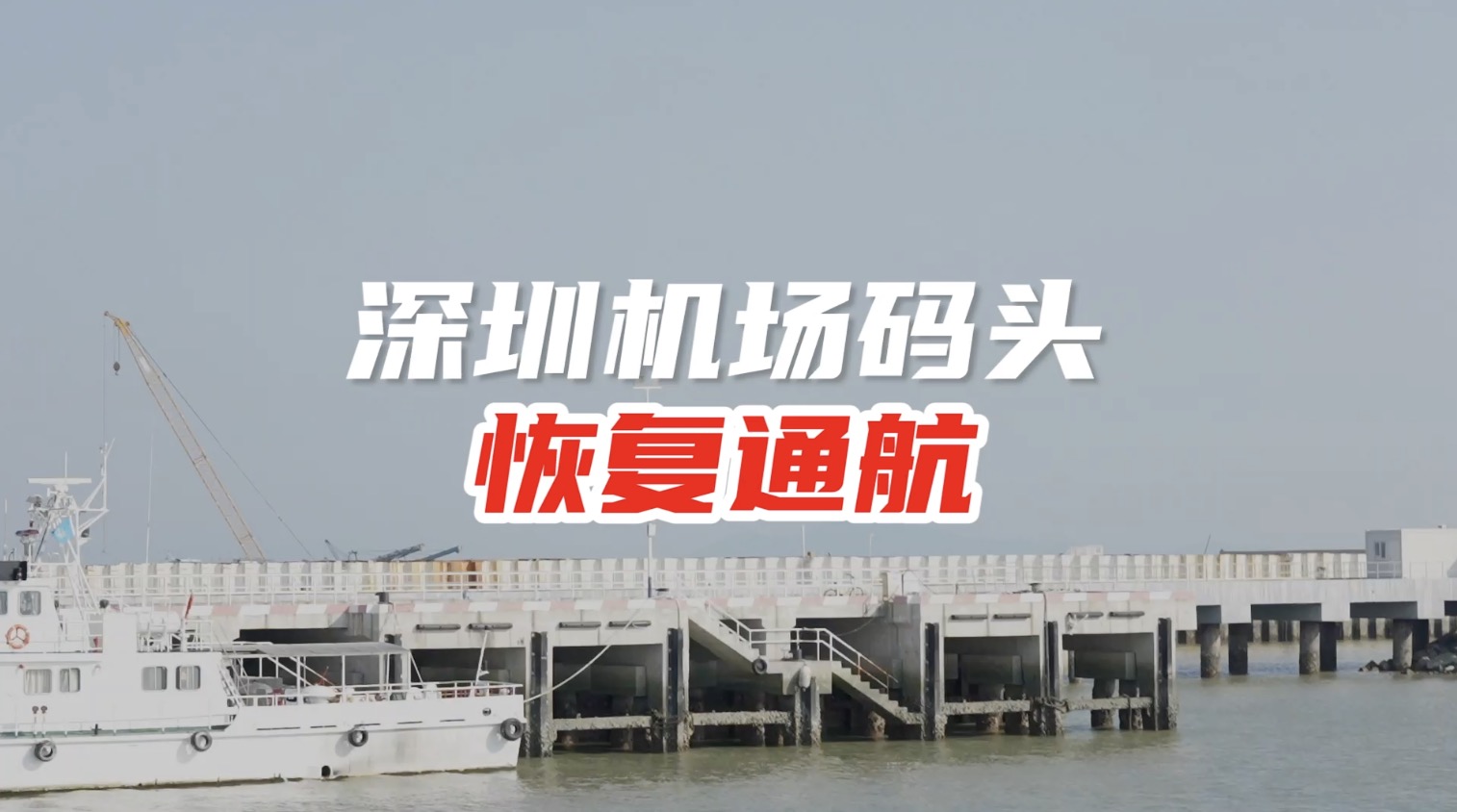 深圳机场码头恢复珠海、中山航线