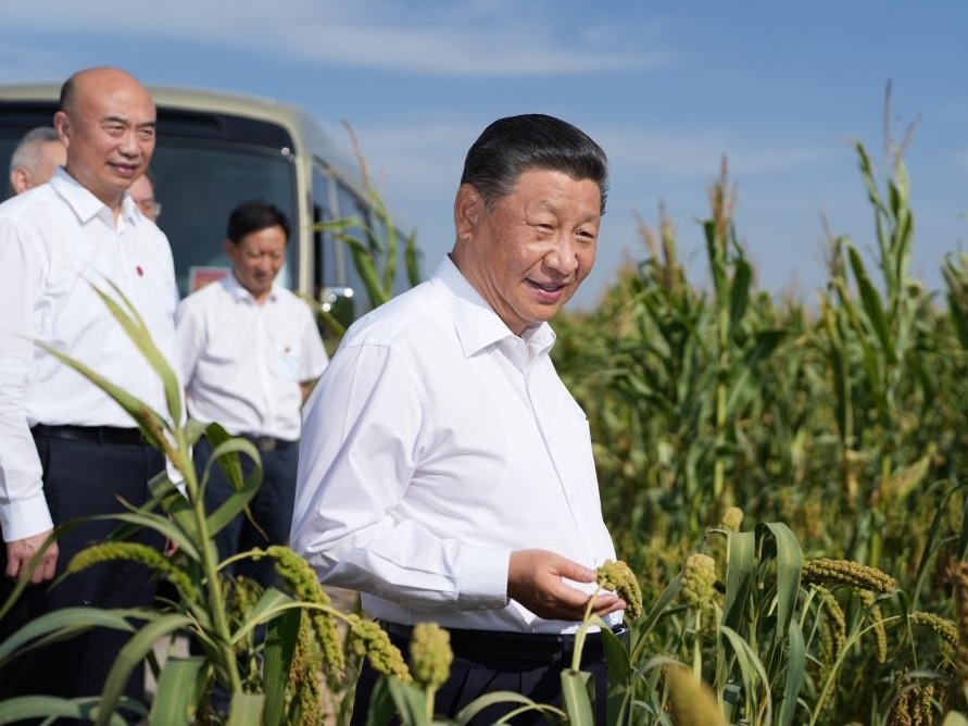 第一观察丨察夏粮、看秋粮，总书记今年考察中为何两次实地察看粮食长势