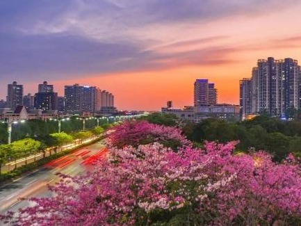 世界500强广东榜单出炉：深圳第一、广州第二、北滘镇第三