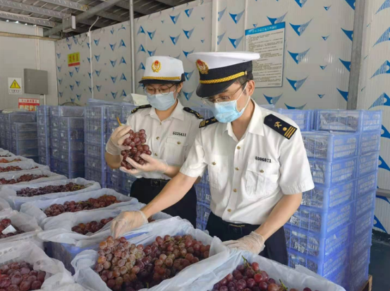 深圳海关保障新鲜葡萄顺畅出口东盟