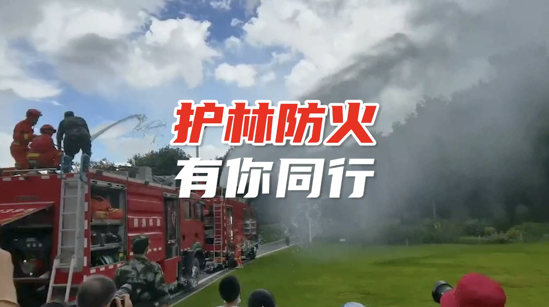 深圳迎来森林特别防护期