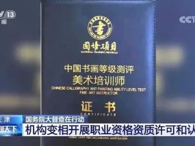 涉嫌违规设立分支机构，民政部对中国硬笔书法协会立案调查 