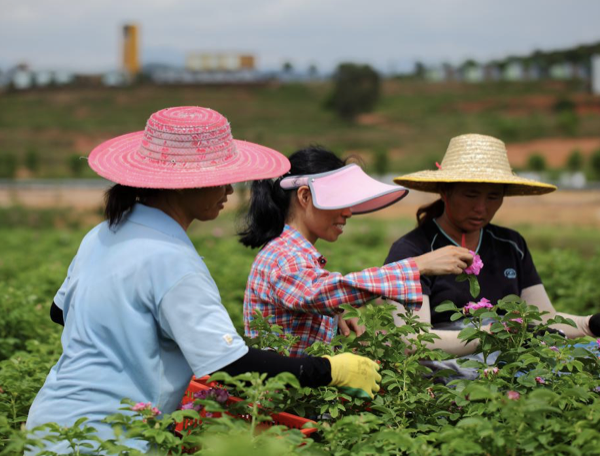 应保尽保、应救尽救、应兜尽兜！深圳巩固拓展脱贫攻坚兜底保障成果