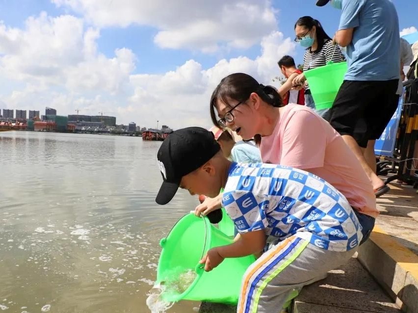 增殖放流护生态！220万尾鱼苗“安家”东莞市华阳湖