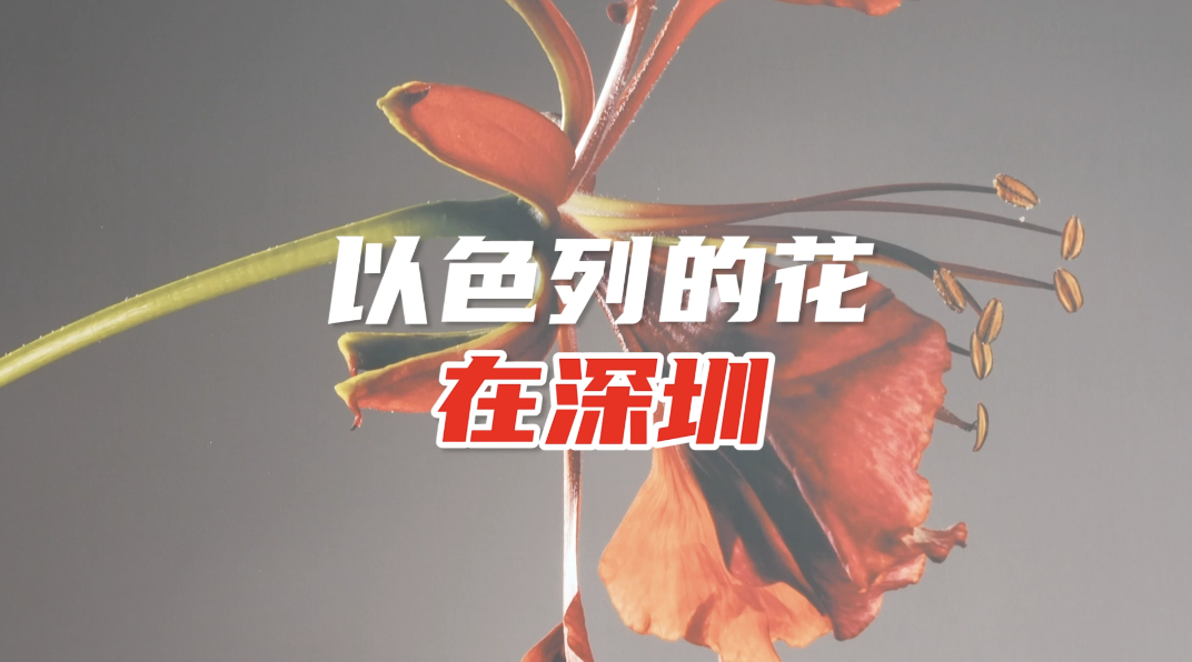 在深圳感受以色列艺术之美