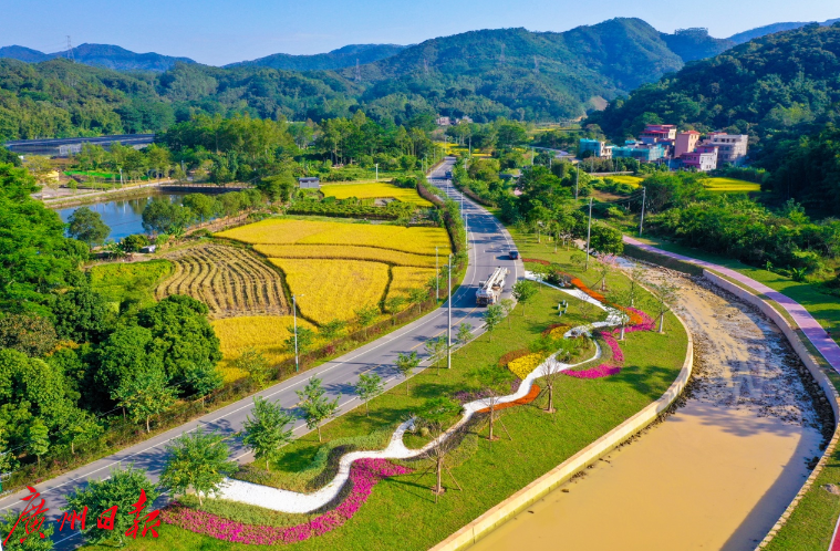基建全面提升，广州乡村宜业宜居