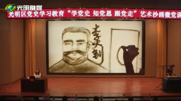 视频 | 光明区举办党史学习教育艺术沙画微党课活动