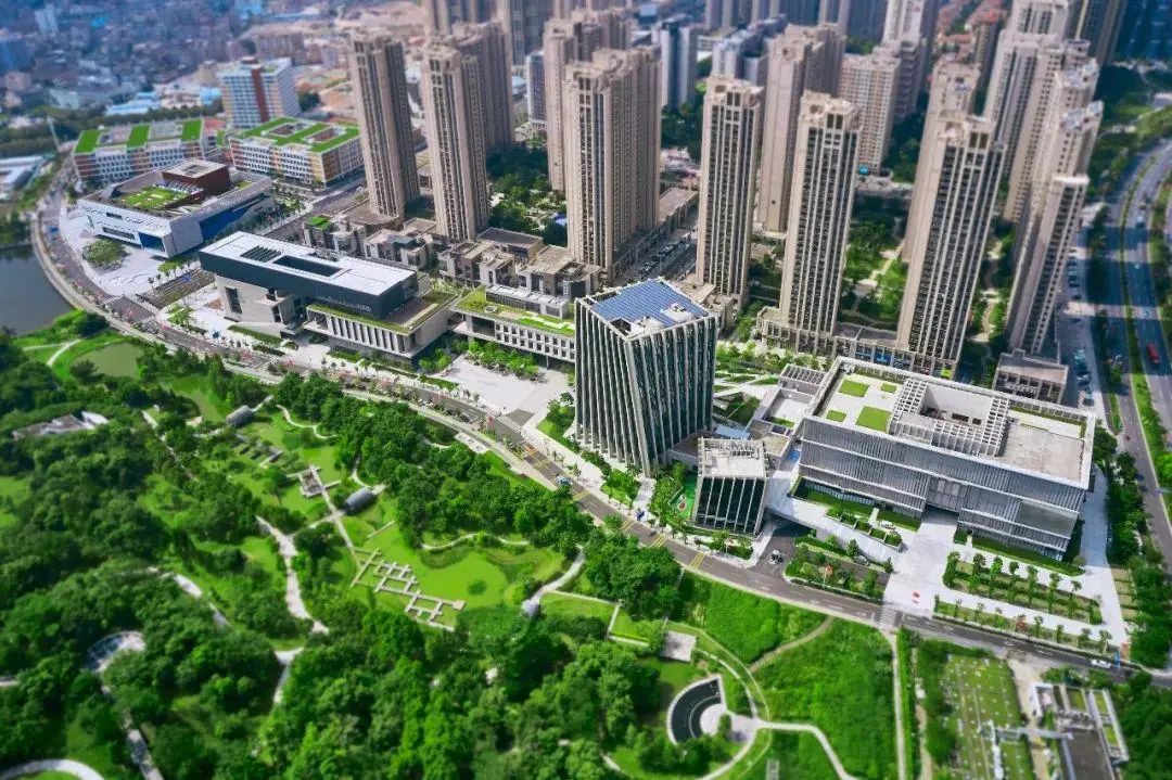 创新、筑梦、高地！文博会坪山馆即将绽放湾区