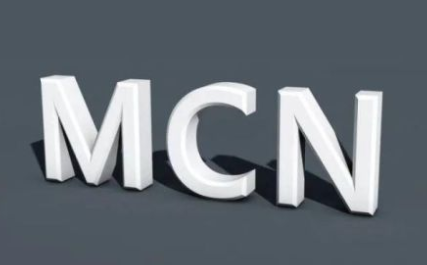 新传播观 | 浅谈我国MCN的发展模式