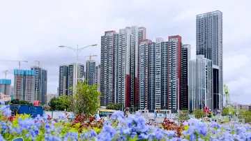 文明城市创建巡礼 | 坪山街道扮靓城市“面子”提升文明“里子”