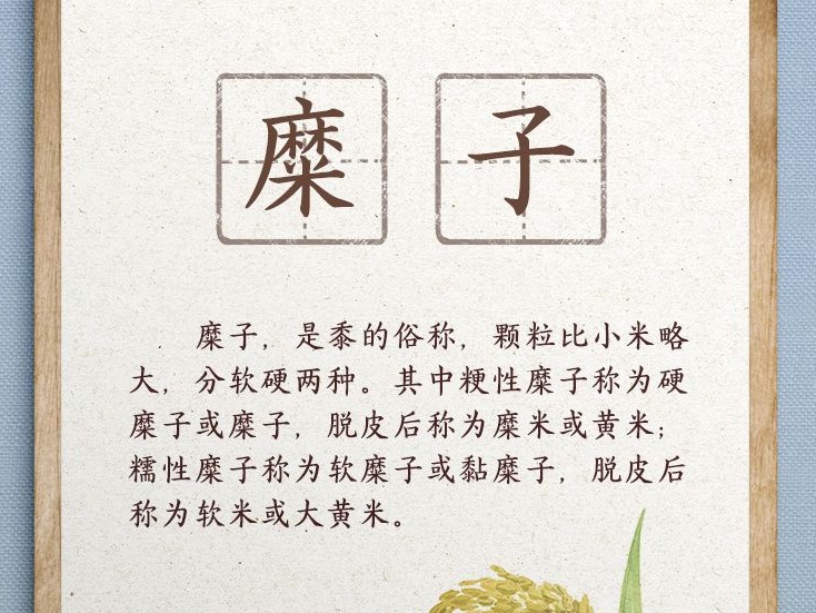 天天学习丨总书记与陕北老乡聊到的“糜子”是啥？