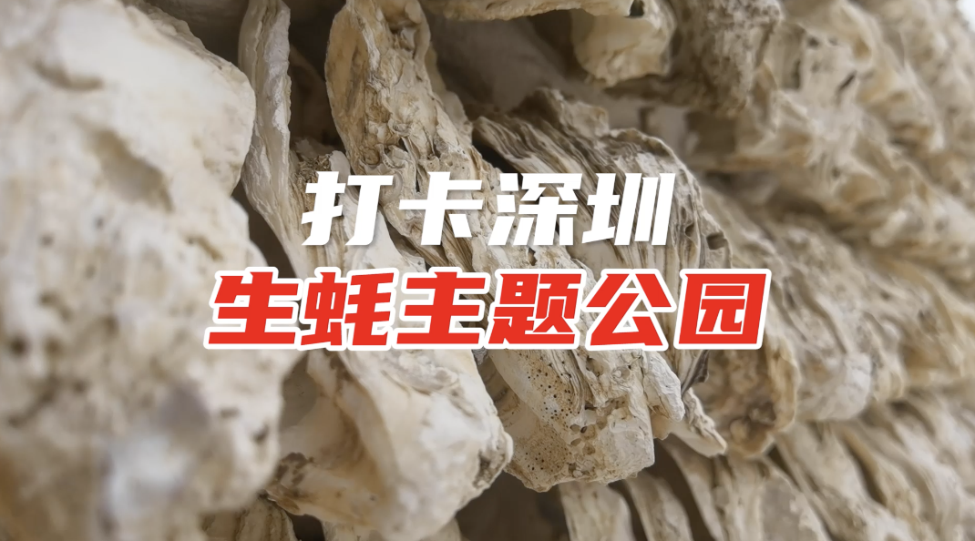 打卡深圳生蚝主题公园