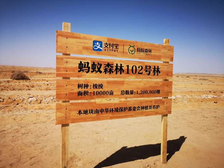 蚂蚁森林回应梭梭种植质疑：不存在没有造林的情况，干旱造成梭梭生长较慢