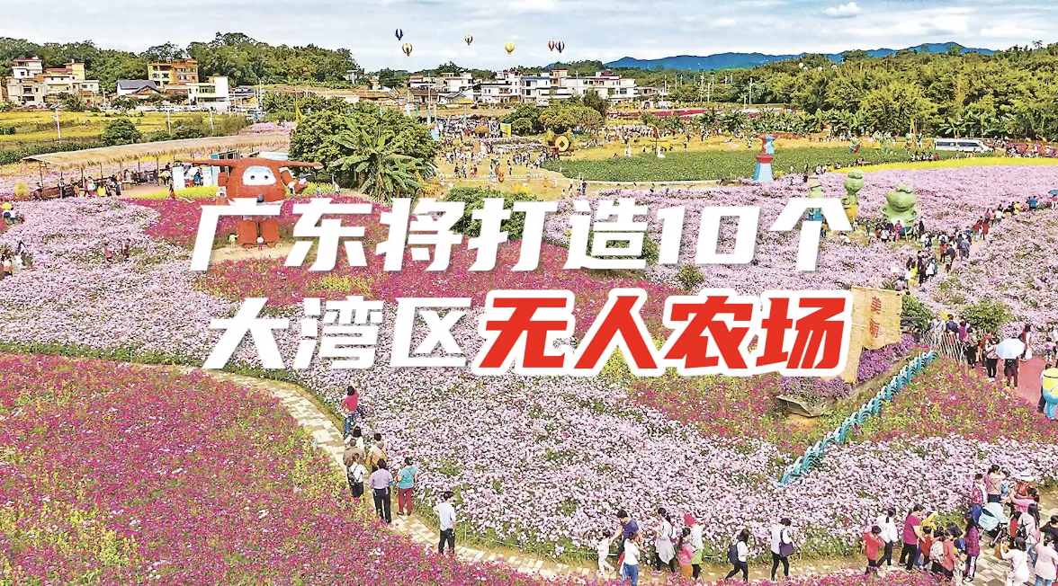 广东将打造10个大湾区无人农场