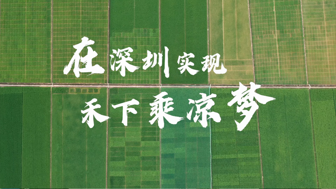 在深圳实现袁老的“禾下乘凉梦”