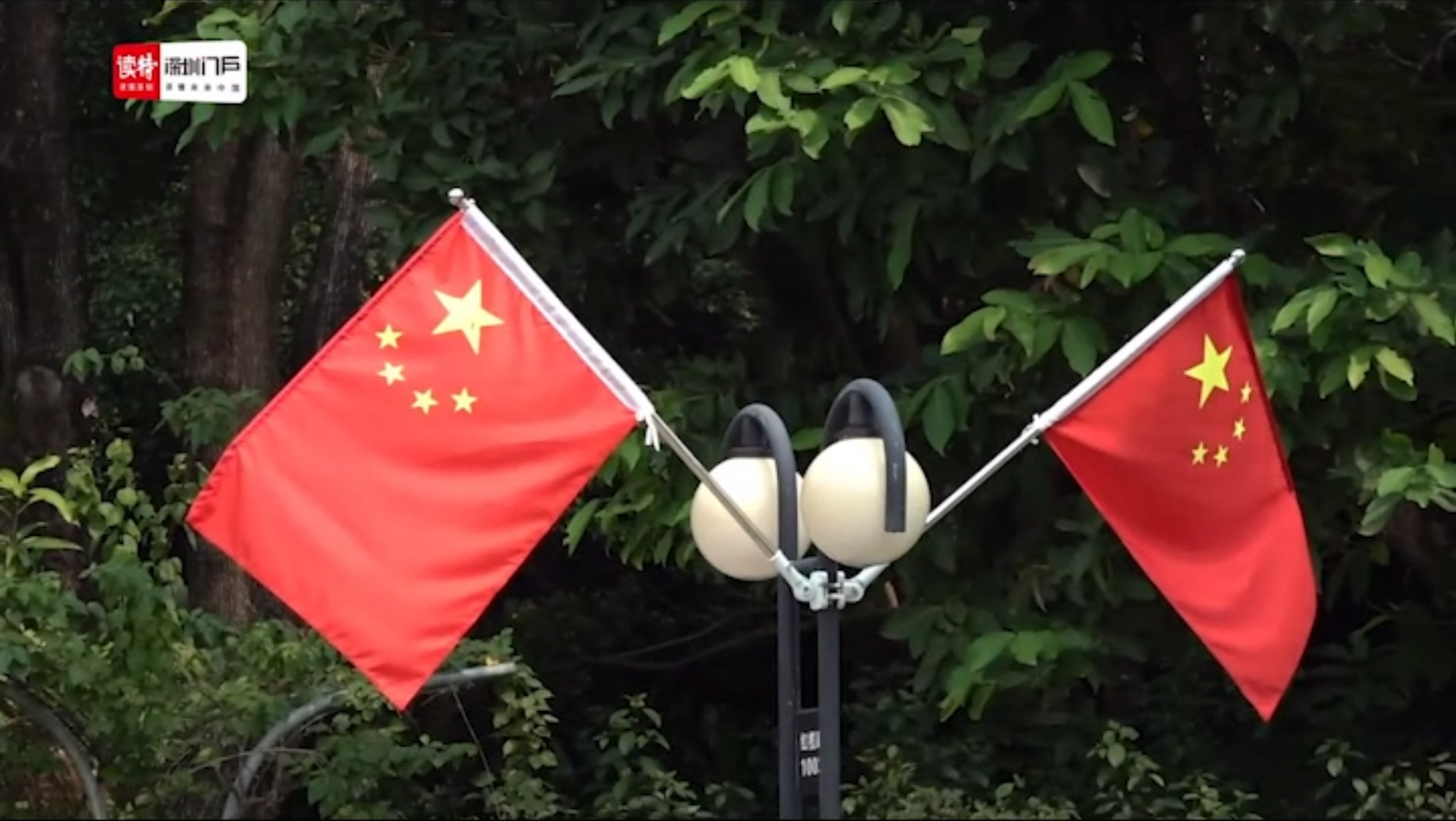 国庆节深圳人都这么拼？快来听听他们怎么说