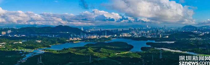 基层文明南山行｜西丽街道：让文明之风深植市民心中