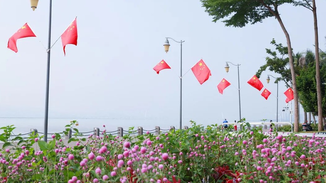 一日看尽鹏城景，快来看看国庆第一天的深圳长什么样？