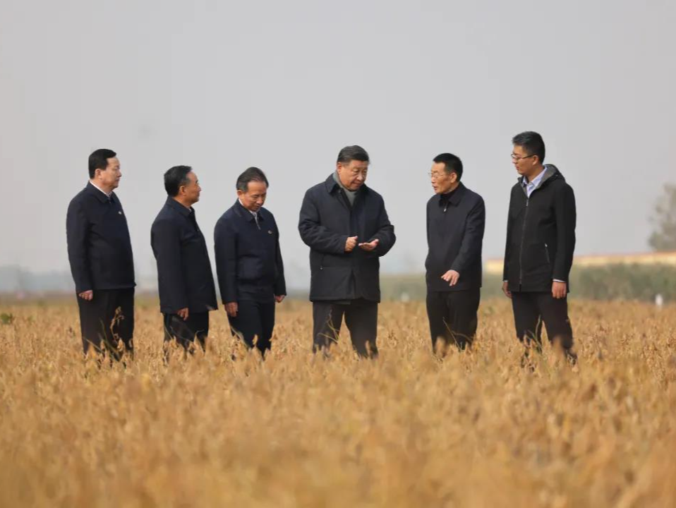总书记刚刚来过这里 | “端稳中国粮，盐碱地大有可为！”
