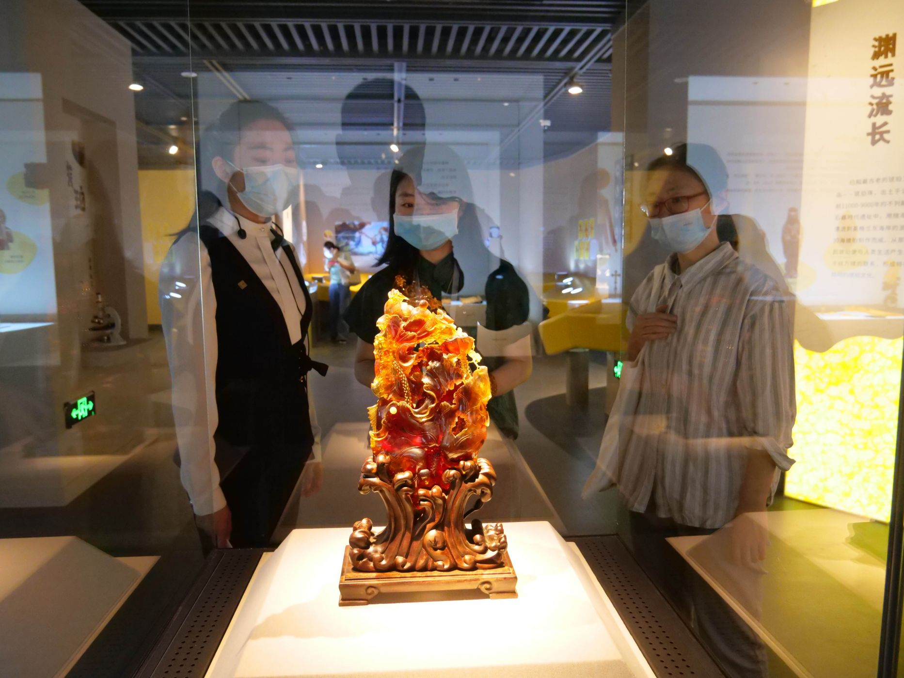两大地质科普展在深圳博物馆古代艺术馆开幕