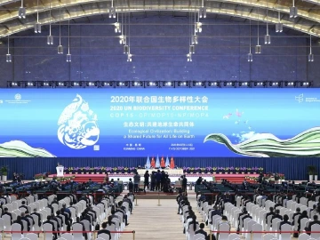 COP15生态文明论坛闭幕，发出保护全球生物多样性倡议