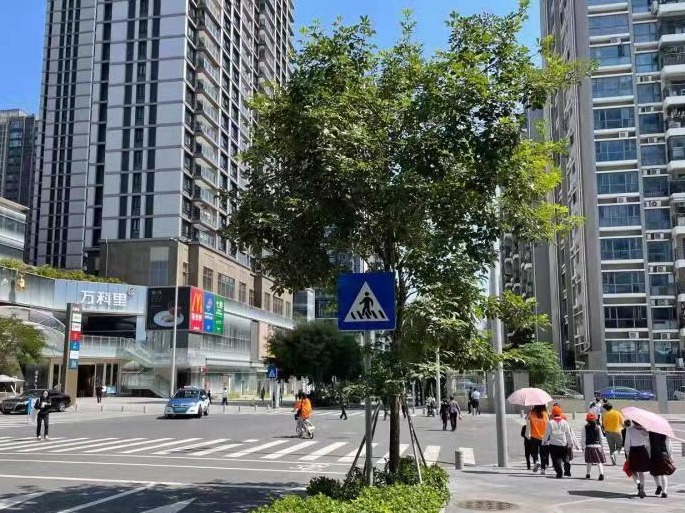 红岭实验小学周边泥头车、搅拌车与接送孩子私家车抢道，社区回应了