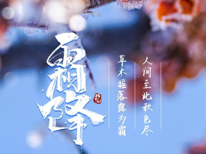 23日12时51分“霜降”：人间至此秋色尽，草木摇落露为霜 