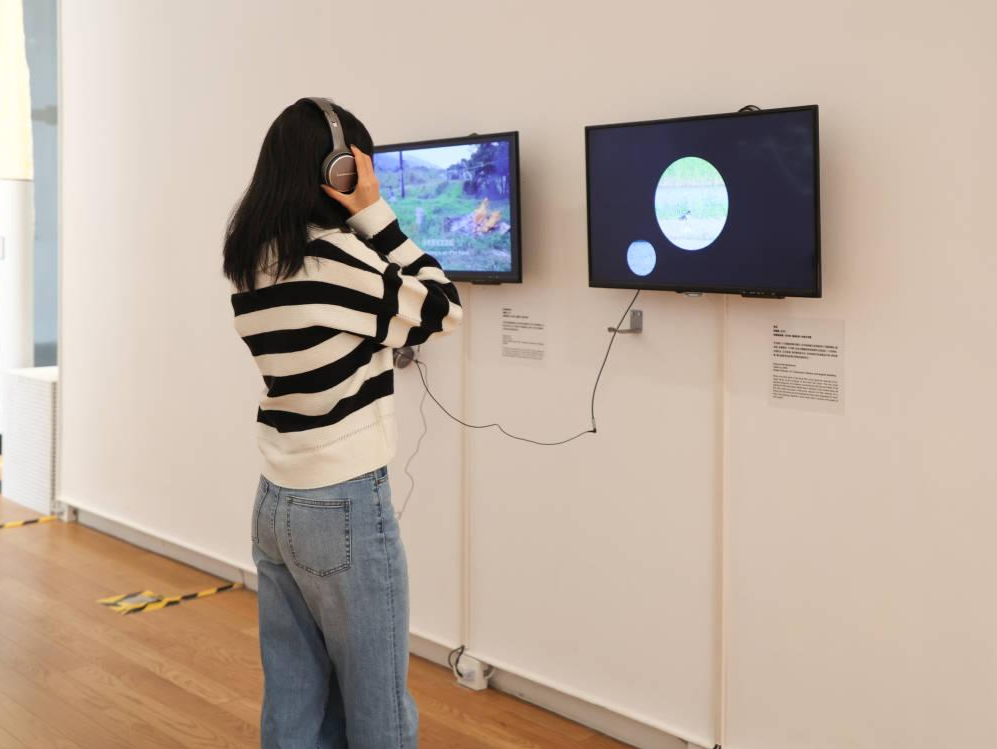 “珍食”食物艺术与设计展，邀你现场共奏蔬果狂想曲