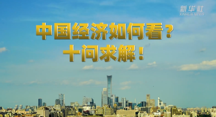 新华社重磅文章：十问中国经济