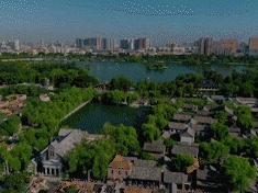 时政微纪录丨习近平总书记山东行