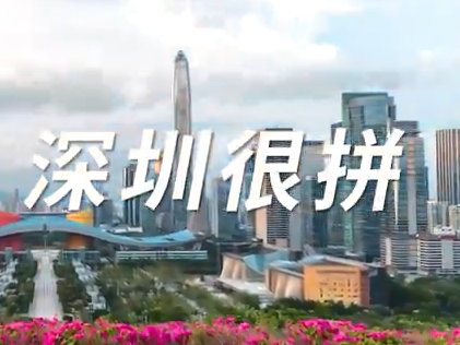 这一年，深圳很拼！