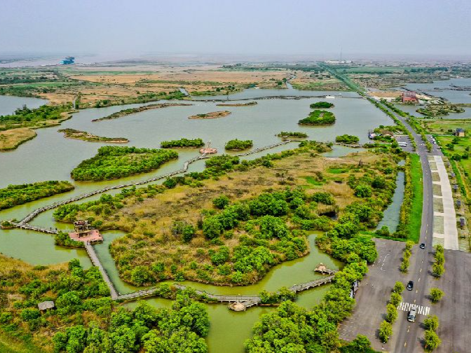 第1视点丨这片湿地，是黄河生态变迁的缩影