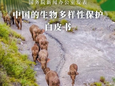 国务院新闻办发表《中国的生物多样性保护》白皮书