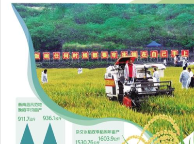双季稻每亩产量连续两年超攻关目标，意味着什么？