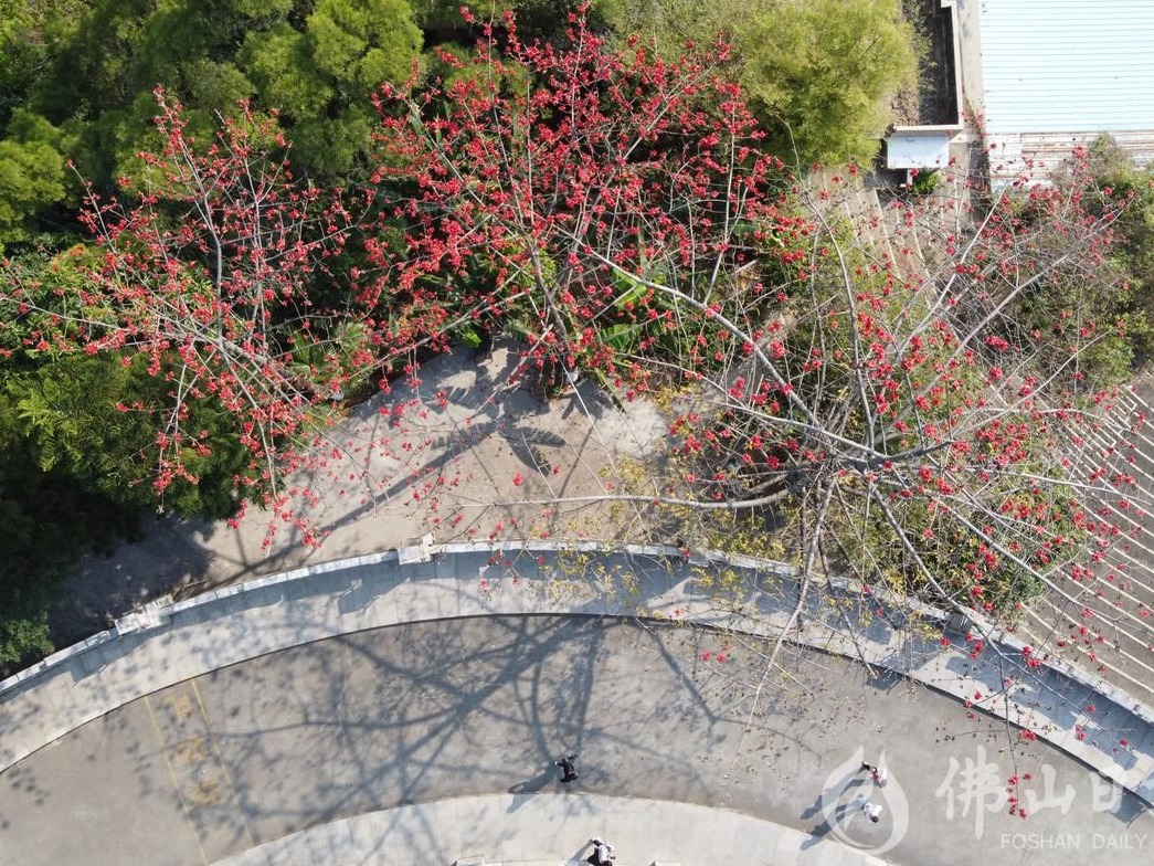 回答时代之问！奋力建设高质量发展先行示范区 | 顺德党代会