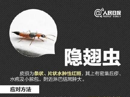 一条虫子竟然上了热搜！网友：再也不敢关灯玩手机了