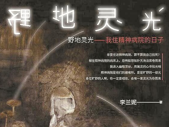 一部贴地飞行的 丰满之书