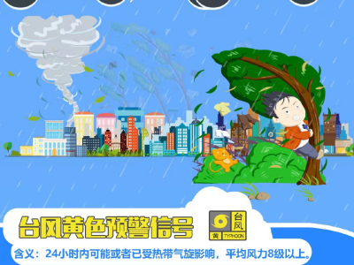 深圳今年首个台风黄色预警生效！全市托儿所、幼儿园和中小学停课
