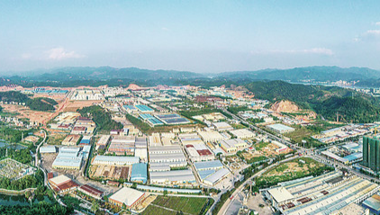 一则小消息引回一条产业链，肇庆市德庆县招商见微知著