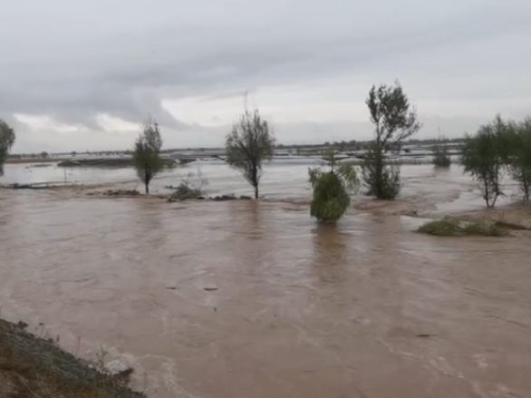 两部门：针对陕西山西严重洪涝灾害启动国家Ⅳ级救灾应急响应