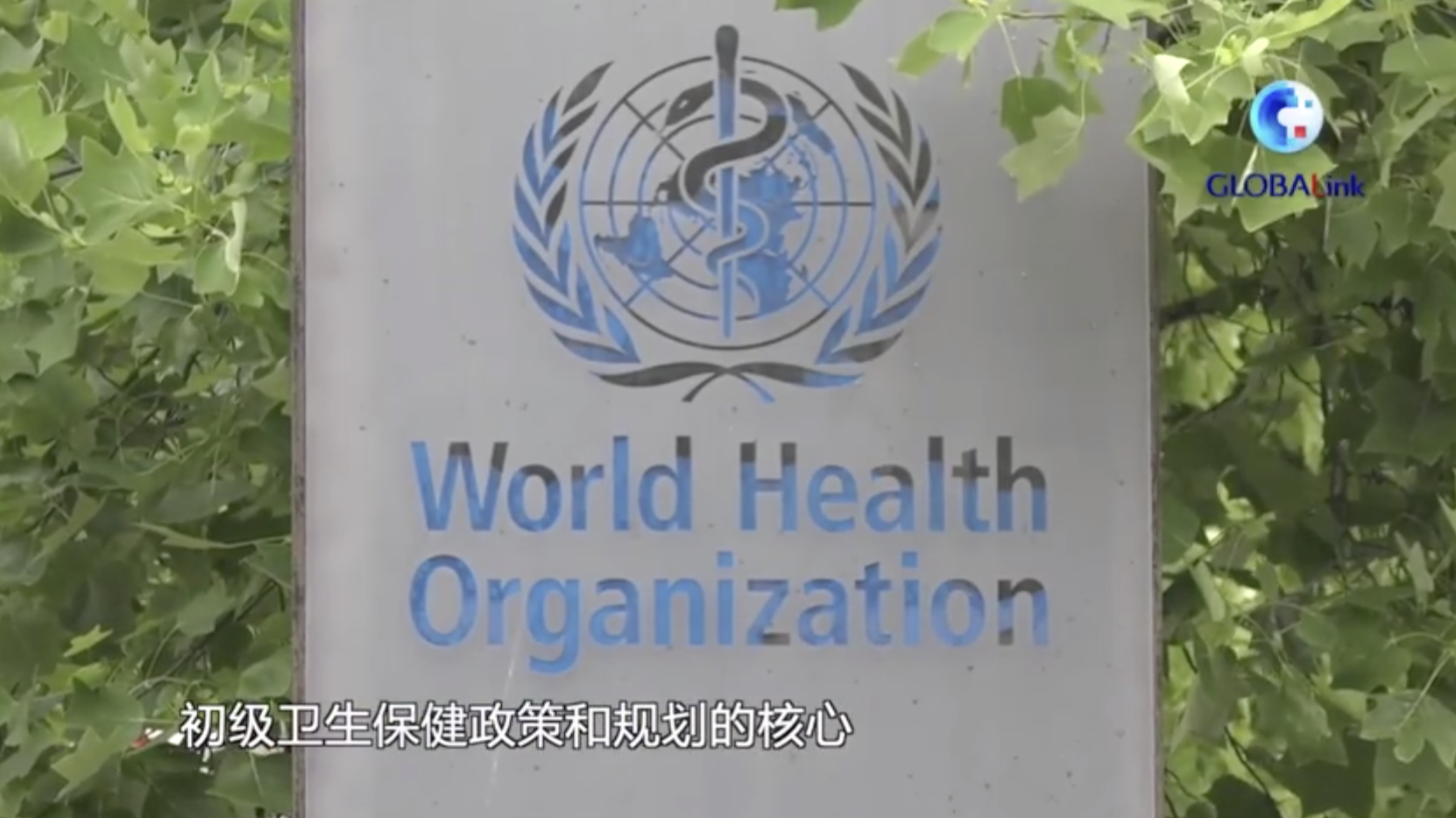 十位联合国里的中国人