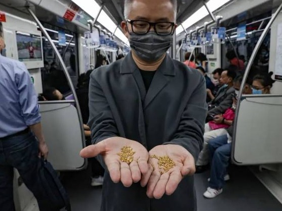 黄金制成千粒米扔黄浦江，“艺术家”回应：对社会有价值不需炒作