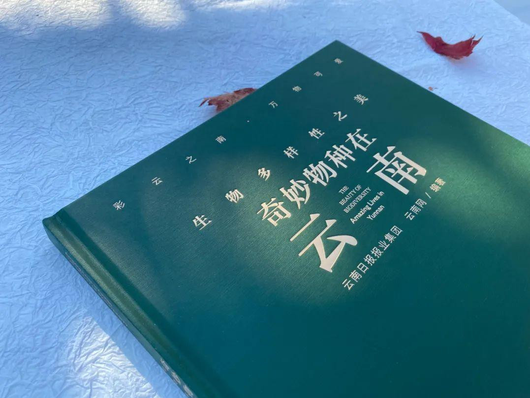 一部静态的生态自然纪录片，《奇妙物种在云南：生物多样性之美》出版