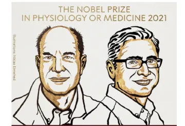 2021年诺贝尔生理学或医学奖揭晓，两位美国科学家获奖