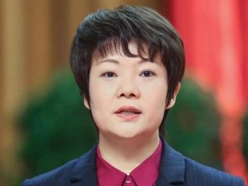 扬州市委新一届领导班子产生，张宝娟当选扬州市委书记