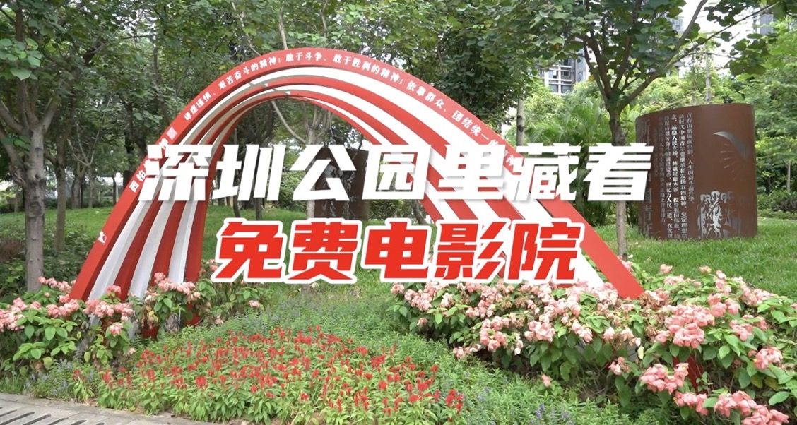 深圳公园里藏着免费电影院