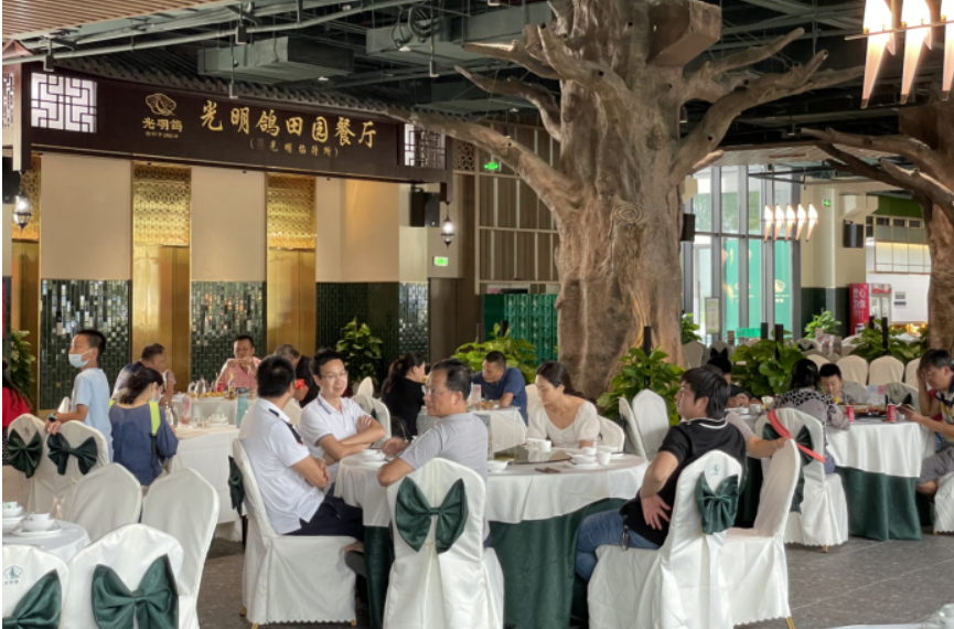 乳鸽香中过国庆 光明招待所新店正式启用人气火爆