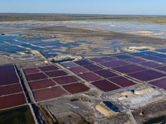 钾肥龙头盐湖股份子公司涉嫌非法采矿，将减少利润3.57亿