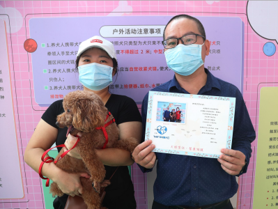 深圳犬只登记率居全国首位，15.6万犬只植入了电子芯片