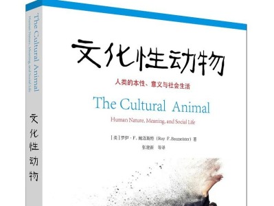 荐书 |《文化性动物》：文化对人类影响远超我们的想象